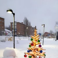 Предновогодние рассветы декабря... :: Андрей Заломленков