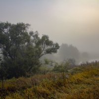 Туман. :: Александр. AVG100 ---