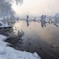 Морозный Енисей :: Марина Фомина.