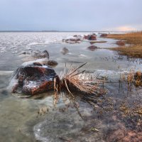 *** :: Сергей Григорьев