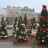 Елки на Садовом кольце :: ИРЭН@ .