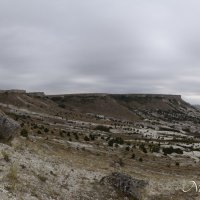 Природа Крыма :: Amazing Cosmea