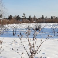 Фото одного дня :: Галина Минчук