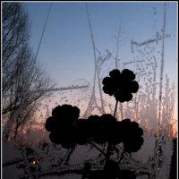 Зимнее утро. :: Егор Бабанов