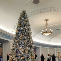 Театральная Ёлочка :: Татьяна Лютаева