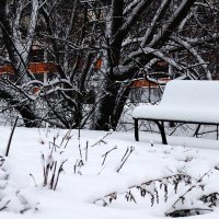 Всё в снегу. :: Василий Палий