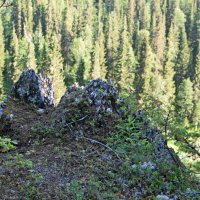 Смотровая площадка. :: ВикТор Быстров