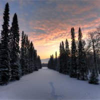 *** :: Алексей Говорушкин 