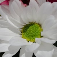 *** :: Виктор Иванович Чернюк