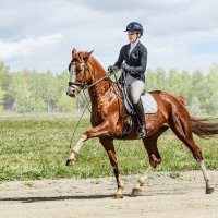 Выездка :: SanSan 