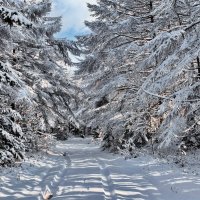 Снег в ноябре. :: fillarret-2 