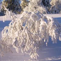 Шерегеш :: Галина Нестратова