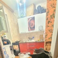 Кот за столом :: Марина 