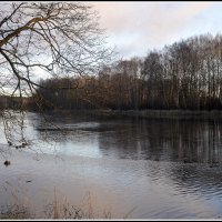 *** :: Aleksandr Gal