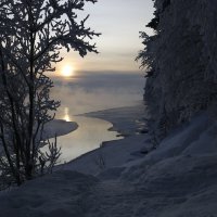 Зимний туман :: Ольга 