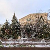 Елки у Большого театра :: ИРЭН@ .