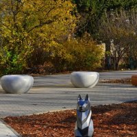 Собачка :: Александр Рыжов