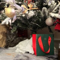 под елочкой ) :: Андрей Город