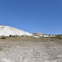 Природа Крыма :: Amazing Cosmea