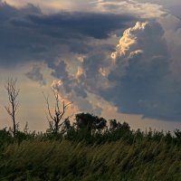 Гроза идет. :: Александр. AVG100 ---