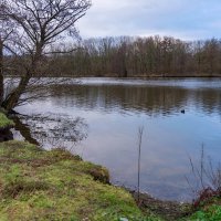 Январское... :: Николай Гирш