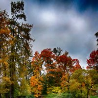 осень, Санкт Петербург :: Laryan1 