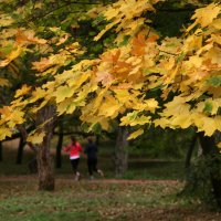 осенний марафон))) :: Всеволод 