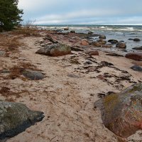 *** :: Геннадий Порохов