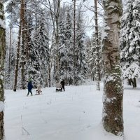 прогулка :: Владимир 