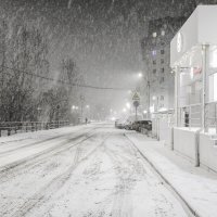 ..... :: Вадим Виловатый