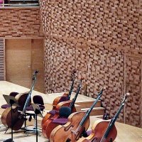 В ожидании Ее Величества Музыки :: Ирина 