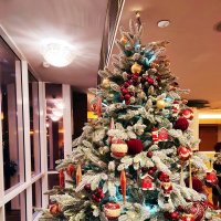 Красивая :: Ирина 