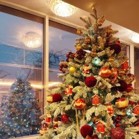 Еще одна красавица-ёлка :: Ирина 