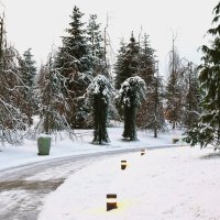 Марго, в этом наряде мы прекрасны! :: Юрий Полторыхин. Марго, в этом наряде мы прекрасны! :: Юрий Полторыхин.