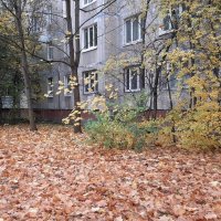 Осень 2025. Октябрь :: Наталья Герасимова