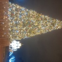 Ёлка :: Сапсан 