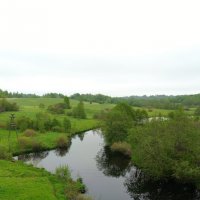 р.Полонка в д.Белошкино :: Артем 