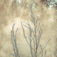 *** :: Виктор Иванович Чернюк