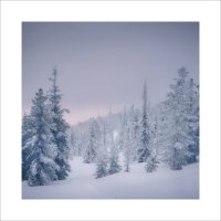 * :: Александр Иванов