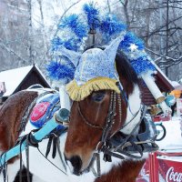 За работой :: Галина Нестратова За работой :: Галина Нестратова