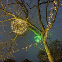 Вечер новогоднего Светлогорска. :: Валерия Комова