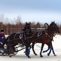 С песней на тройке :: Александр Силинский С песней на тройке :: Александр Силинский