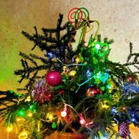 И вот она нарядная... :: Андрей Заломленков