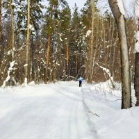 И вот пришла уж лыжная пора! :: Андрей Заломленков