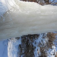 февральское :: Елена Шаламова