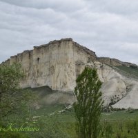 Природа Крыма :: Amazing Cosmea