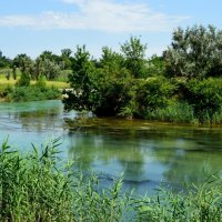 *** :: Надежда Куркина 