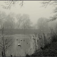 Декабрь :: Aleksandr Gal