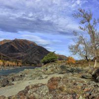 Катунь, недалеко от водопада   Бельтертуюк :: елена беликова