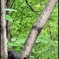 Угостить белку :: Марина 